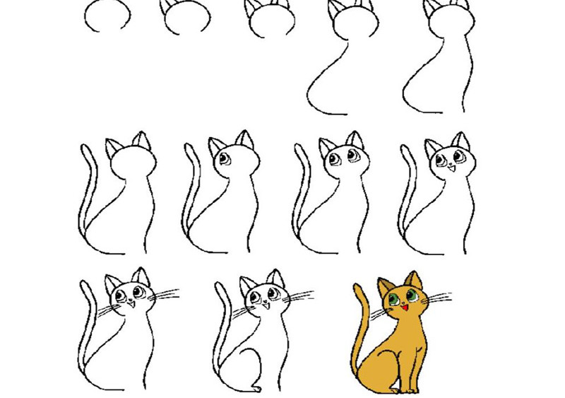 Как правильно нарисовать кота